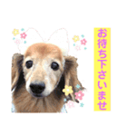 るーさま❤️（個別スタンプ：10）