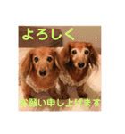 るーさま❤️（個別スタンプ：11）