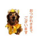 るーさま❤️（個別スタンプ：14）