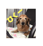 るーさま❤️（個別スタンプ：15）