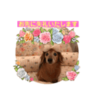 るーさま❤️（個別スタンプ：17）
