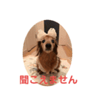 るーさま❤️（個別スタンプ：18）