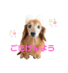 るーさま❤️（個別スタンプ：19）