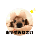 るーさま❤️（個別スタンプ：20）