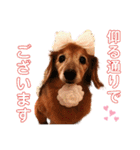 るーさま❤️（個別スタンプ：22）
