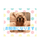 るーさま❤️（個別スタンプ：23）