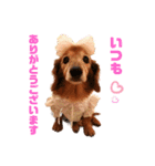るーさま❤️（個別スタンプ：30）