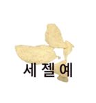 国際ポテト大学（個別スタンプ：6）