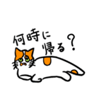 白茶ねこのスタンプ（個別スタンプ：12）