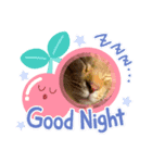 にゃんこラムちゃん（個別スタンプ：1）