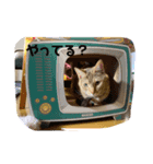 にゃんこラムちゃん（個別スタンプ：8）
