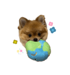 まめ王子！（個別スタンプ：1）