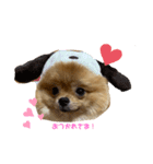 まめ王子！（個別スタンプ：4）