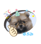 まめ王子！（個別スタンプ：8）
