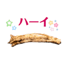 アメショのこむら（個別スタンプ：3）