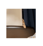 アメショのこむら（個別スタンプ：31）