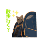 アメショのこむら（個別スタンプ：32）