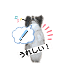 パピパピパピヨン！(2)（個別スタンプ：7）