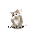 ねこちこ②（個別スタンプ：18）