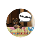 そらいろ③（個別スタンプ：9）