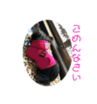 そらいろ③（個別スタンプ：10）