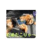 そらいろ③（個別スタンプ：13）