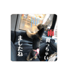 そらいろ③（個別スタンプ：23）