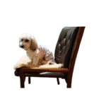 実家の犬！①（個別スタンプ：5）