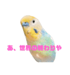 インコちゃんスタンプだよ（個別スタンプ：17）