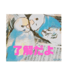 インコちゃんスタンプだよ（個別スタンプ：33）