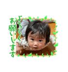 どう君スタンプ01（個別スタンプ：1）
