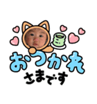 どう君スタンプ01（個別スタンプ：4）