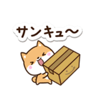 ちびシバ（個別スタンプ：11）