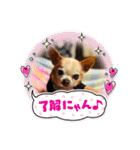 れんKUNのスタンプ（個別スタンプ：19）