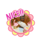 ハムスターのおもち★（個別スタンプ：2）