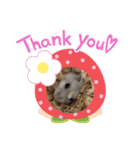 ハムスターのおもち★（個別スタンプ：3）