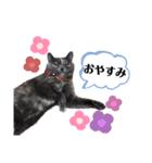 一言もなか（個別スタンプ：4）