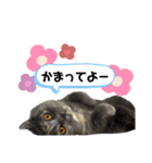一言もなか（個別スタンプ：7）
