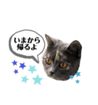 一言もなか（個別スタンプ：10）