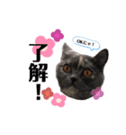 一言もなか（個別スタンプ：11）