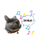 一言もなか（個別スタンプ：12）