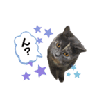 一言もなか（個別スタンプ：15）
