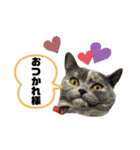 一言もなか（個別スタンプ：16）