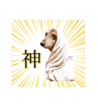 ミニチュアダックスちびまろの日常（個別スタンプ：6）