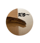 カナヘビちゃん神スタンプ（個別スタンプ：2）