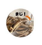 カナヘビちゃん神スタンプ（個別スタンプ：3）