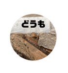 カナヘビちゃん神スタンプ（個別スタンプ：14）