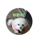 LUNA＆SEAの使える戯言？！（個別スタンプ：1）