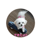 LUNA＆SEAの使える戯言？！（個別スタンプ：2）