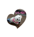 LUNA＆SEAの使える戯言？！（個別スタンプ：5）